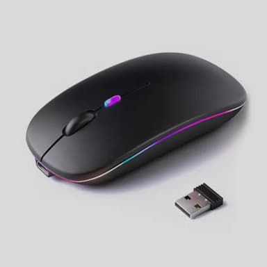 MOUSE Image