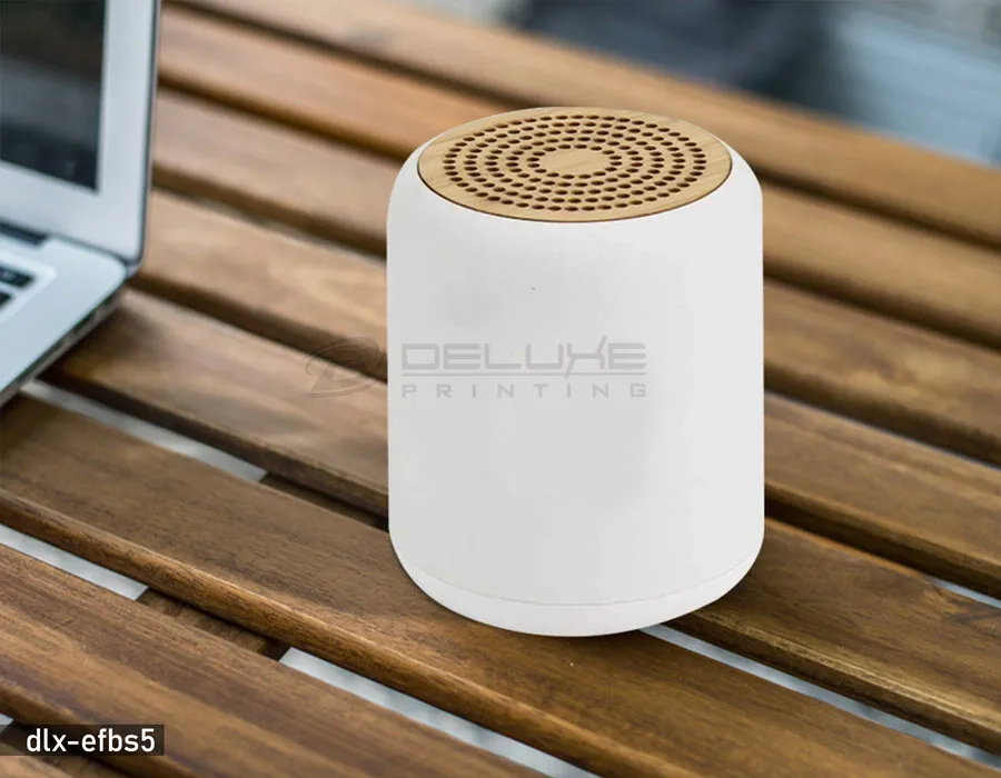 Deluxe Speaker efbs5 Image